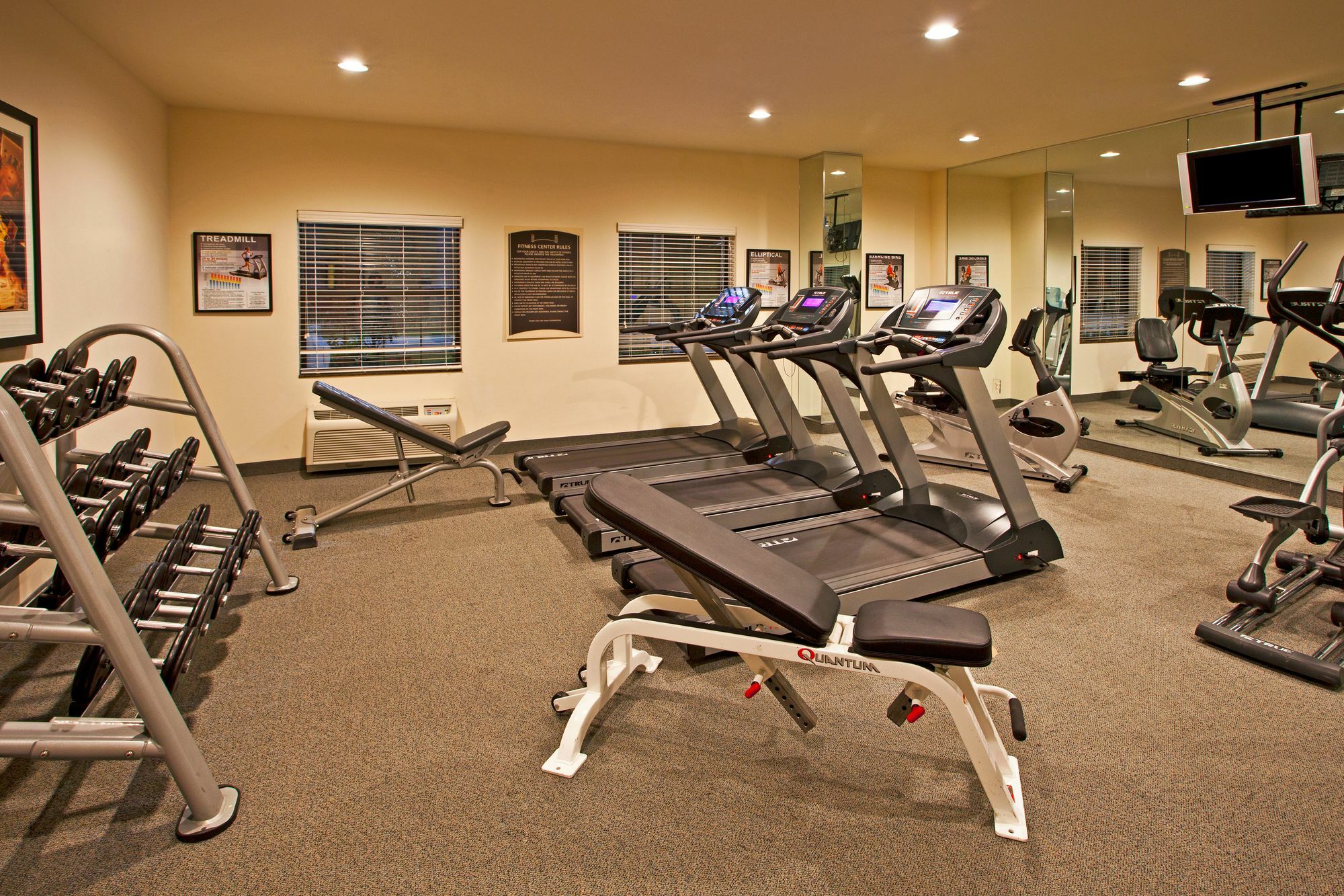 Staybridge Suites Tampa East- Brandon By Ihg Mango Exterior photo